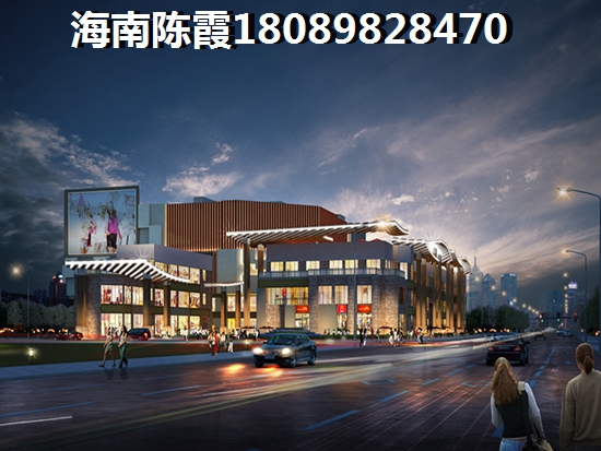 《海南公寓touzi热潮学会把握自贸港机遇，轻松实现资产增纸》